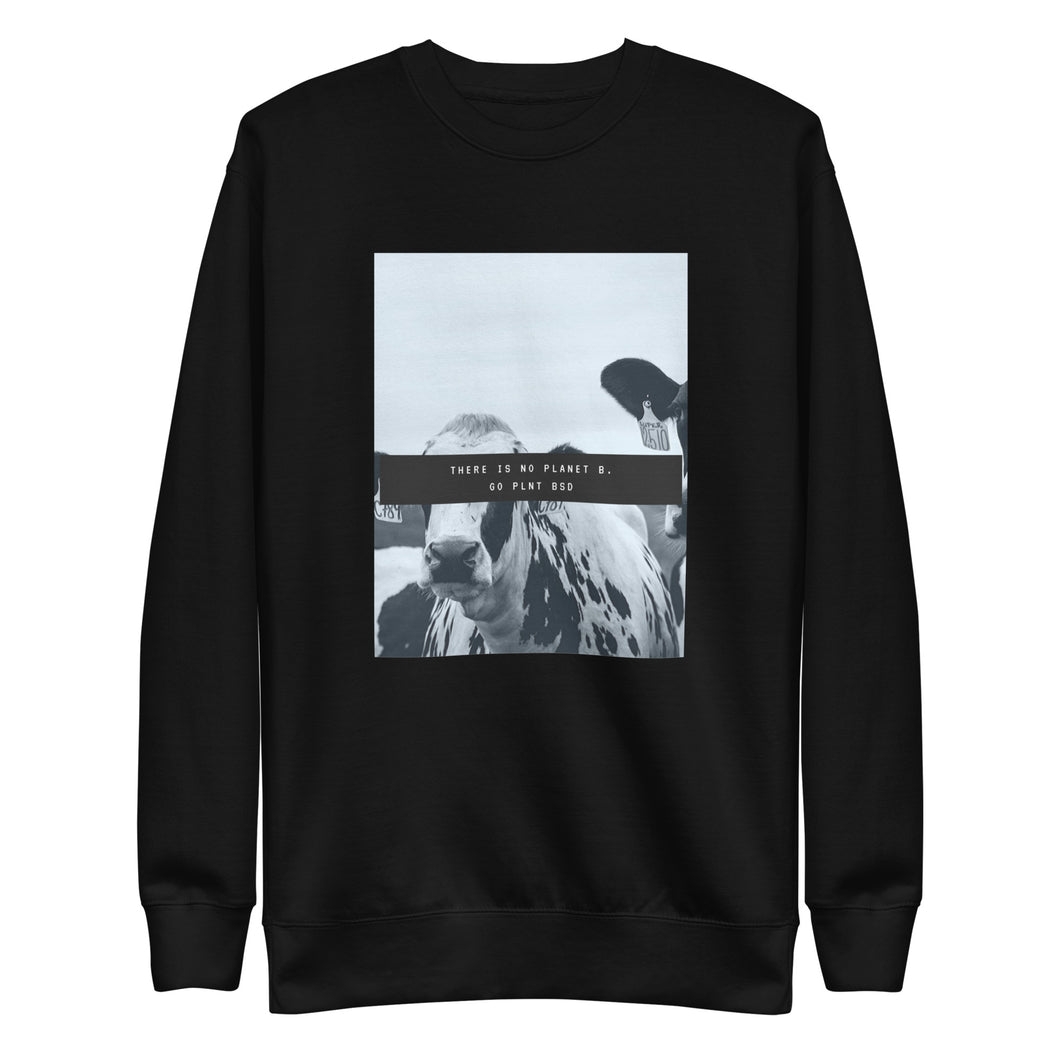 No Planet B Pullover